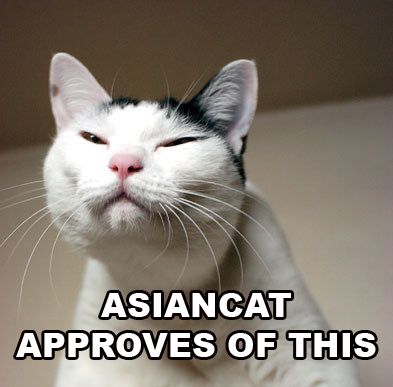 Asian_cat.jpg