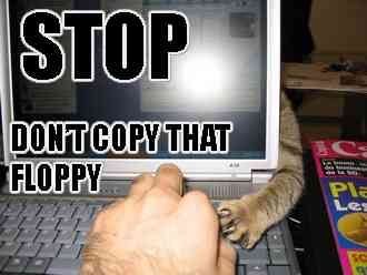 dont copy cat.