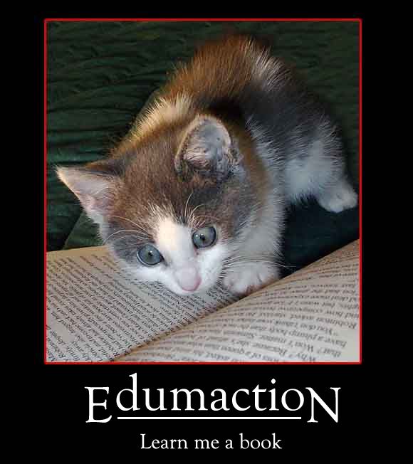 edumacation_cat.jpg