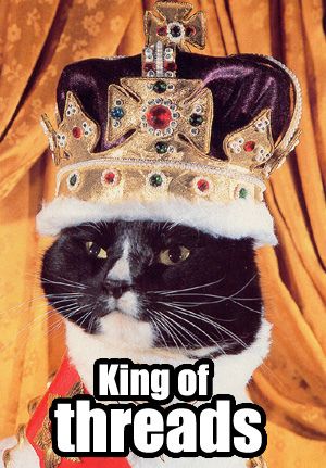 king_cat.jpg