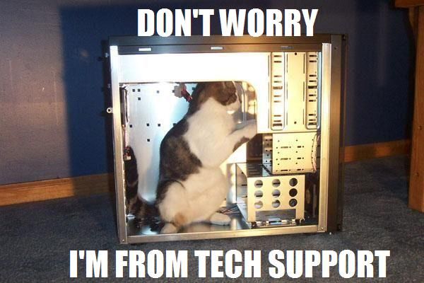 tech_cat.jpg