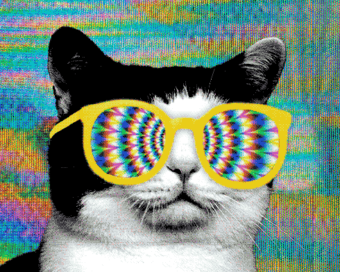 psychedelic_cat.gif