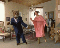 bjork_and_cat_dancing.gif