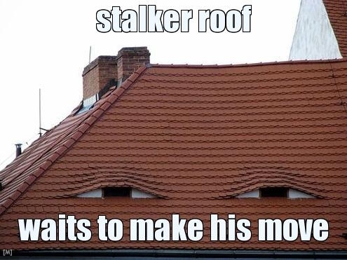 stalker_roof.jpg