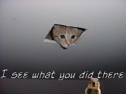 i-see-what-you-did-there-ceiling-cat-27940-1250313420-23.jpg
