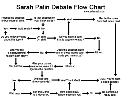 Palin flow chart