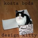 design cat