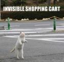 Invisible Cart