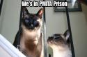 PMITA Prison