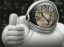 Space Cat Approves