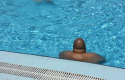 Head
