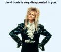 Bowie disappointed