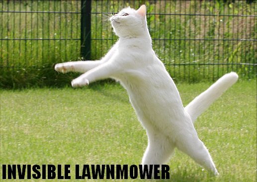 Invisible Lawnmower