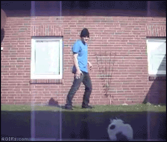 Breakdance Cat Punt