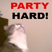 Party Hard Cat