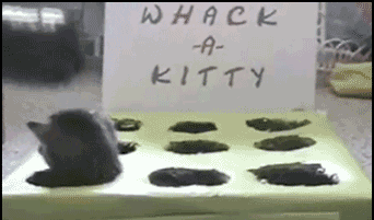 Whack A Kitty