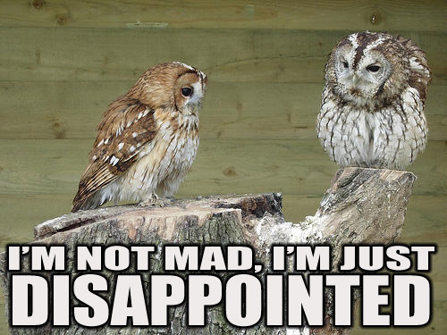 not mad owl