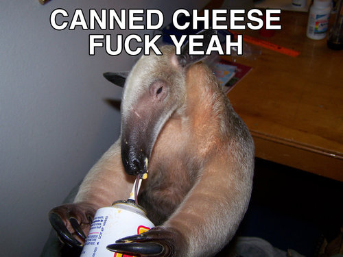 Canned Cheese