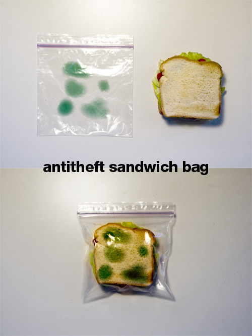 Anti-theft Device