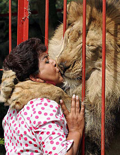 Lion Kisses