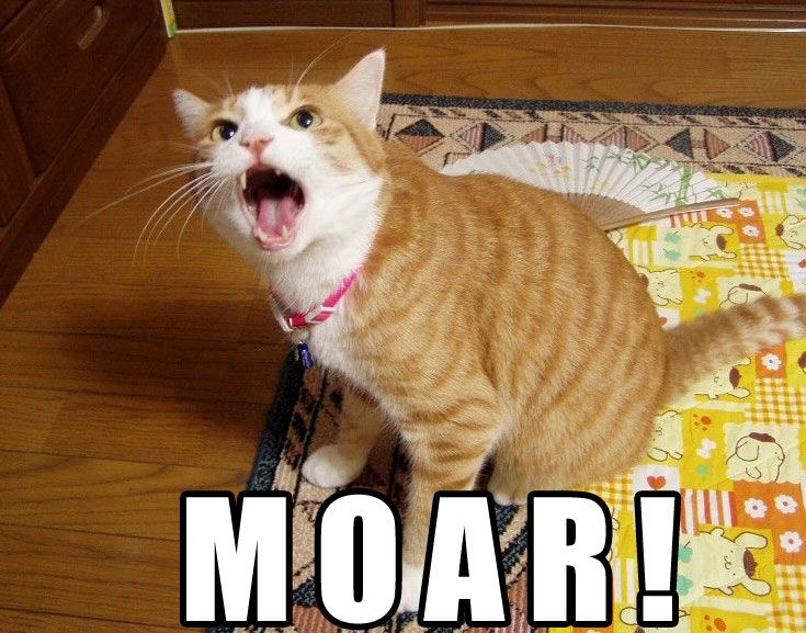MOAR! cat