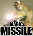 magic missle cat