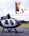 cat jumping on helicopter blades