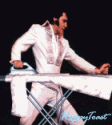Ironing Elvis