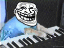 Keyboard Cat Troll