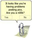 Are you a picture n00b?